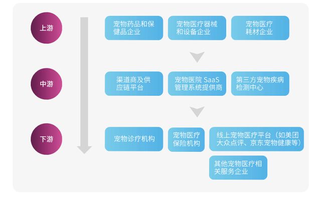 中獸醫(yī)如何撬動百億消費(fèi)醫(yī)療市場 獸醫(yī)器具的創(chuàng)新與機(jī)遇