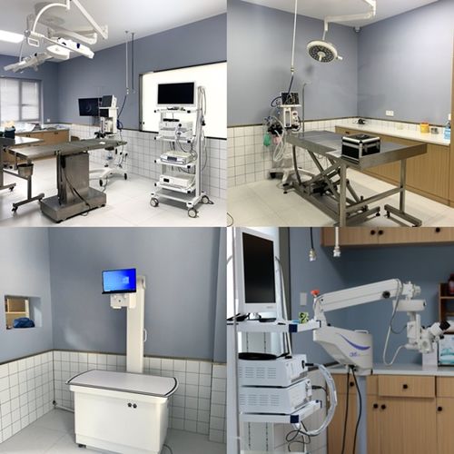 重量級寵物醫(yī)院今日盛大開業(yè)，湖南仁才動物醫(yī)院再啟航