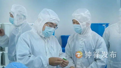 周軍帶隊(duì)赴南昌、上海開展精準(zhǔn)招商考察 聚焦產(chǎn)業(yè)升級(jí)與項(xiàng)目合作