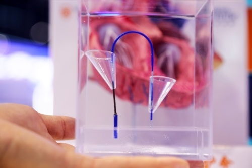 2023年憲法宣傳周 法治文化主題普法宣傳活動(dòng)啟動(dòng)，聚焦獸醫(yī)醫(yī)療器械領(lǐng)域