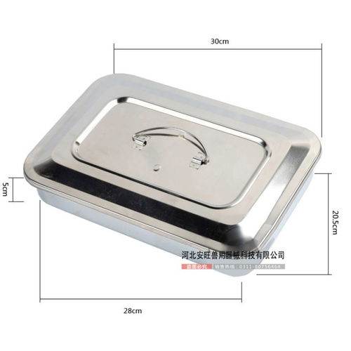 獸醫(yī)用手術(shù)器械全覽 從持針鉗到縫合線的專(zhuān)業(yè)工具解析